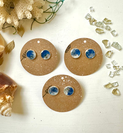 Customizable || Venice Beach Florida Resin Nature Stud Earrings