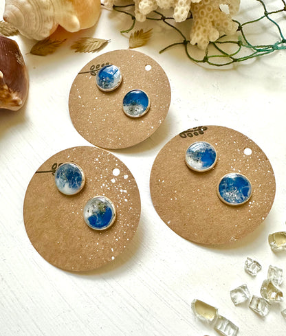 Customizable || Venice Beach Florida Resin Nature Stud Earrings